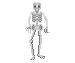 Skeleton (Shareware) - Nitemare 3D