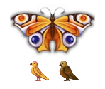 Birds & Butterflies - Gardenscapes