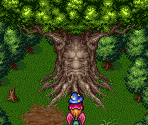 Wise Tree & Great Wise Tree - Breath of Fire 2