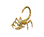 Clawbug - Geneforge 4