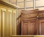 Courtroom (AAI2) - Ace Attorney Investigations Collection