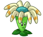 Bloomerang - Plants vs. Zombies 2