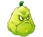 Squash - Plants vs. Zombies 2
