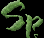Spiderweb Software Logo - Geneforge 5