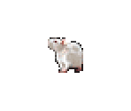 Rat - Undercroft