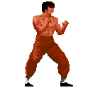 Wang - China Warrior