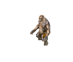 War Trall - Geneforge 5