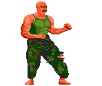 Marine Sergeant - China Warrior