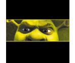 Save Data Icons - Shrek