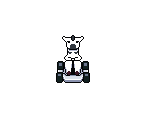 Zebra - Retro Kart Rush