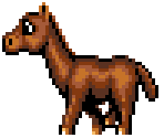Eohippus - E.V.O.: Search for Eden