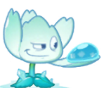 Dripping Diphylleia - Plants vs. Zombies 2