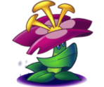 Grimrose - Plants vs. Zombies 2