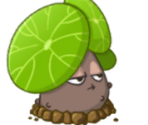 Stephania - Plants vs. Zombies 2