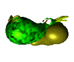 Dragons - Yoshi's Story