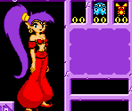 Items and Menus - Shantae