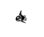 Orca - Sonic X-treme (Prototype)