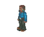 Raoul - Mega Man Battle Network 2