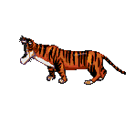 Shere Khan - The Jungle Book