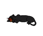 Bagheera - The Jungle Book