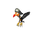 Krow - Donkey Kong Country 2