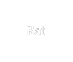 Font - Ratatouille