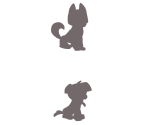 Screen Border - Pet Pals