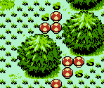 Minish Woods - The Legend of Zelda: The Minish Cap (Bootleg)