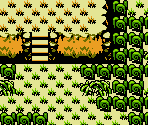 Castor Wilds - The Legend of Zelda: The Minish Cap (Bootleg)