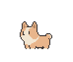 Corgi (Naples Yellow) - Tiny Pasture