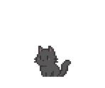 Cat Cub (Black) - Tiny Pasture