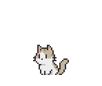 Cat Cub (American Shorthair) - Tiny Pasture