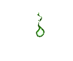 Seed of Nature - Dungeon Maker