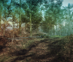 Game Banner & Icon - Cabela's Big Game Hunter 2012