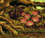 Forest Planet 2 - Top Hunter: Roddy & Cathy