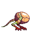 Tough Chick - Dragon Marked For Death