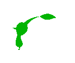Pikmin - Nintendo Today!
