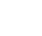 Cursors - Shotgun Legend