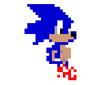 Sonic the Hedgehog (SRB2-C) - Sonic Robo Blast