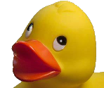 Ducks - Duck Simulator 2
