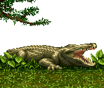 National Park - 1 - Fatal Fury 3: Road to the Final Victory