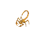 Clawbug - Geneforge 1 - Mutagen