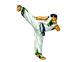Jae Hoon - Garou: Mark of the Wolves