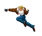 Terry - Garou: Mark of the Wolves