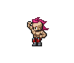 Wrestler (Male) - Metal Max 2 Reloaded