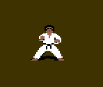 White Karateka - International Karate