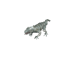 Lizard - Avadon 3: The Warborn