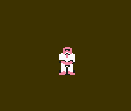 Misc - International Karate