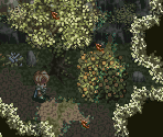 Spirit Forest (Past) - Tales of Phantasia (JPN)