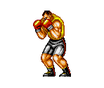 Michael Max - Fatal Fury 